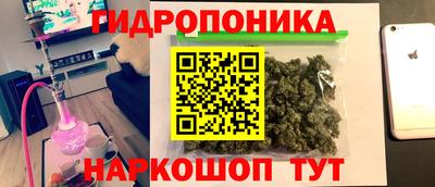 наркотики Новодвинск