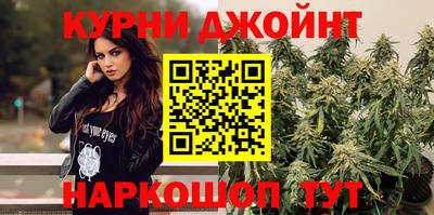 дмт Новокубанск