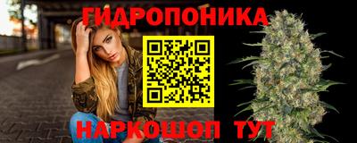 наркотики Новодвинск