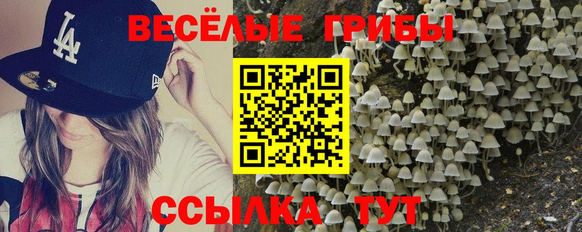 Псилоцибиновые грибы Cubensis Партизанск